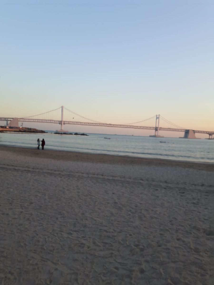 img-20170111-wa0010